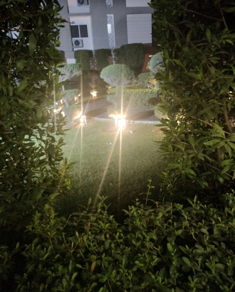 Photo #10413909