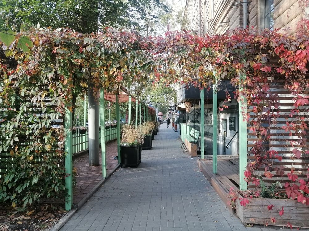 Photograph by Башлаев Константин