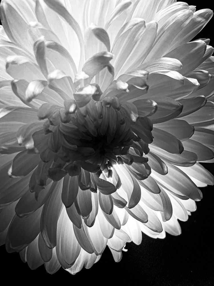 Фотография автора Рамзия Хисамутдинова