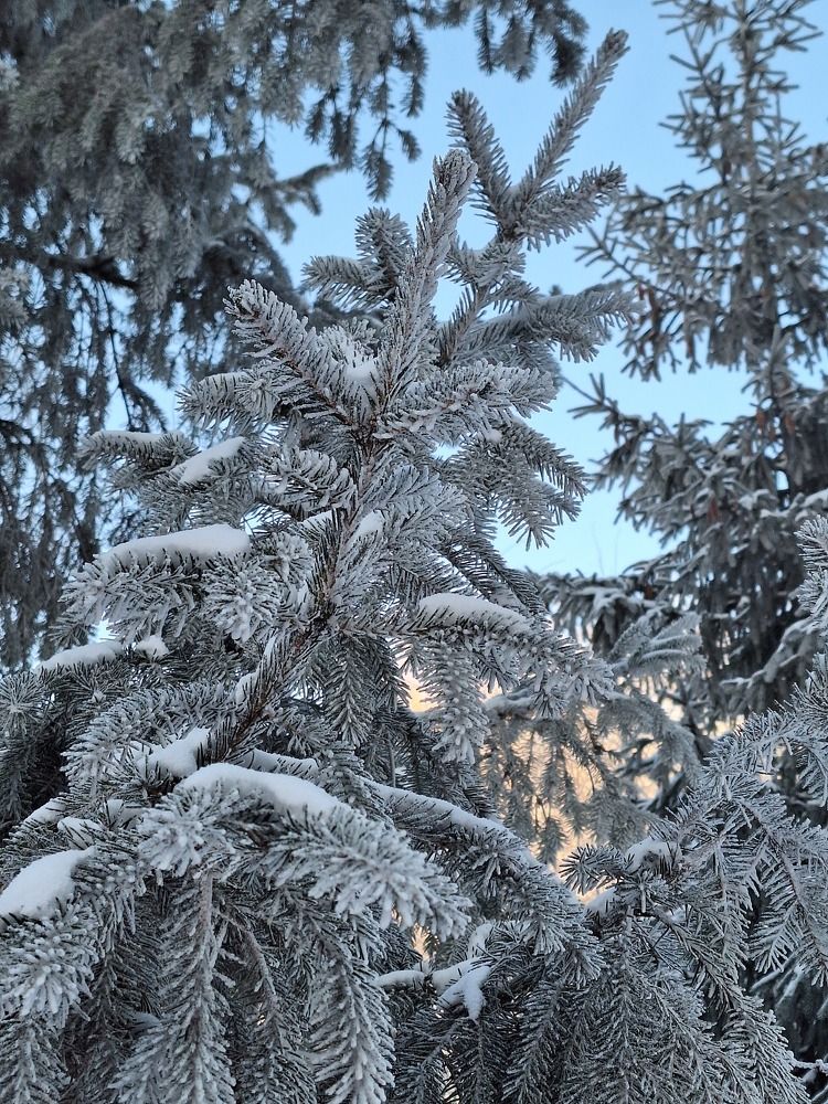 Photograph by Оксана Антипова