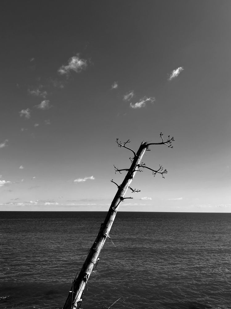 Море - голос земли