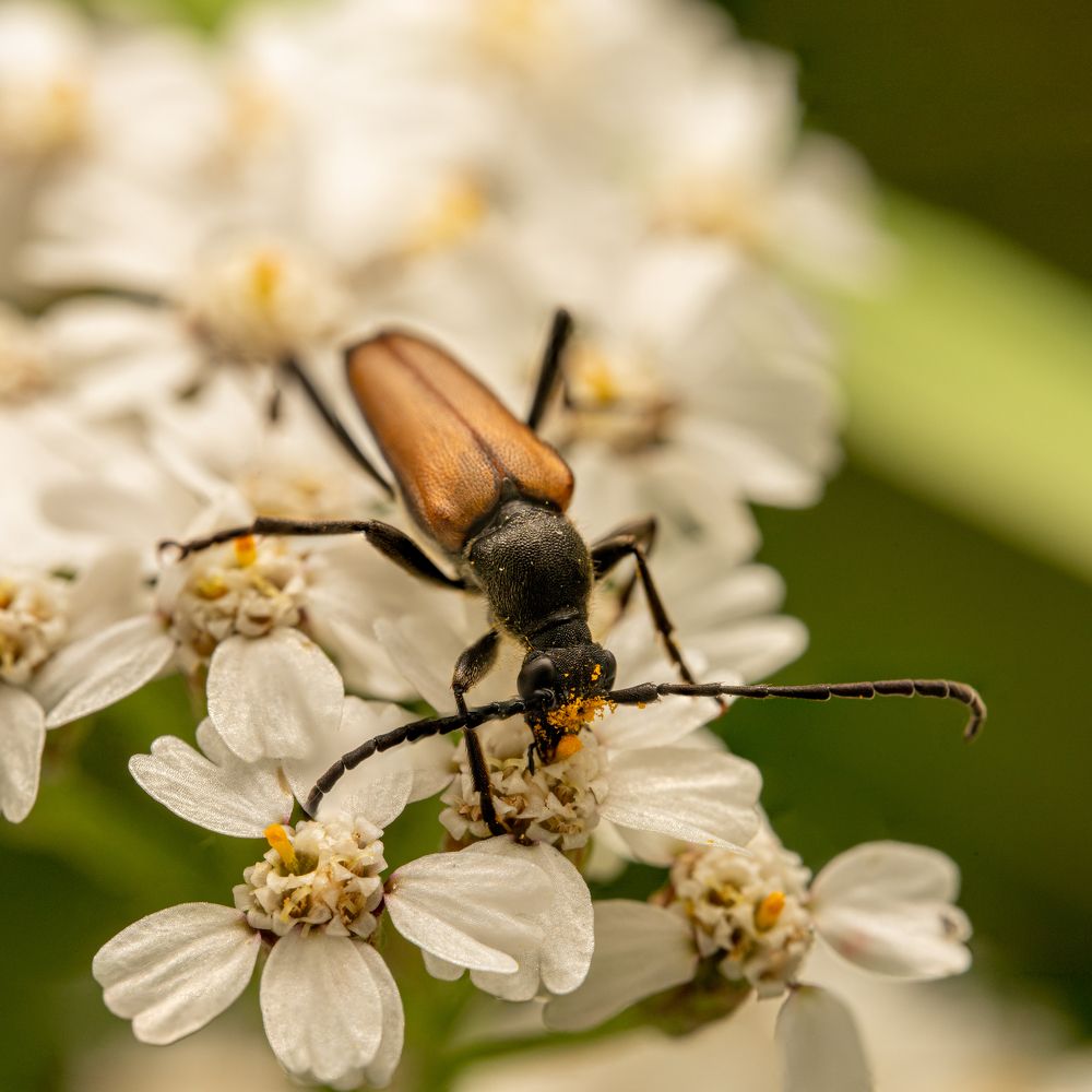 Photograph by Дмитрий Константинов