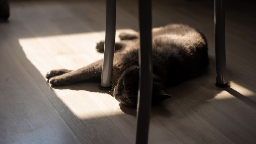 Photograph by Алексей Киселев