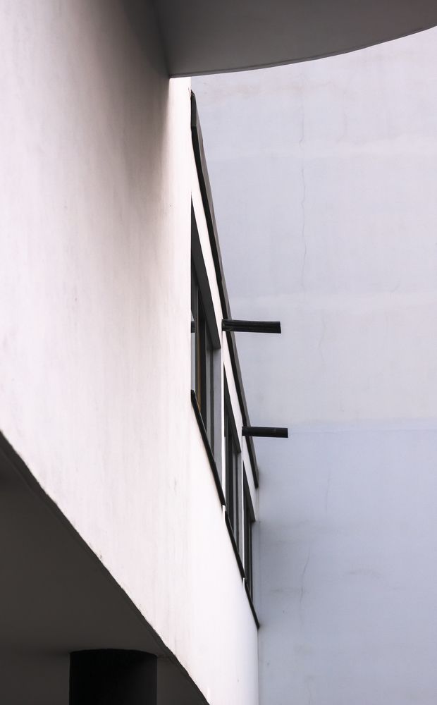 Оттенки белого