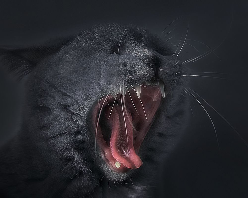 Photograph by Колесникова Татьяна