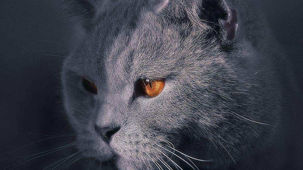 Photograph by Колесникова Татьяна