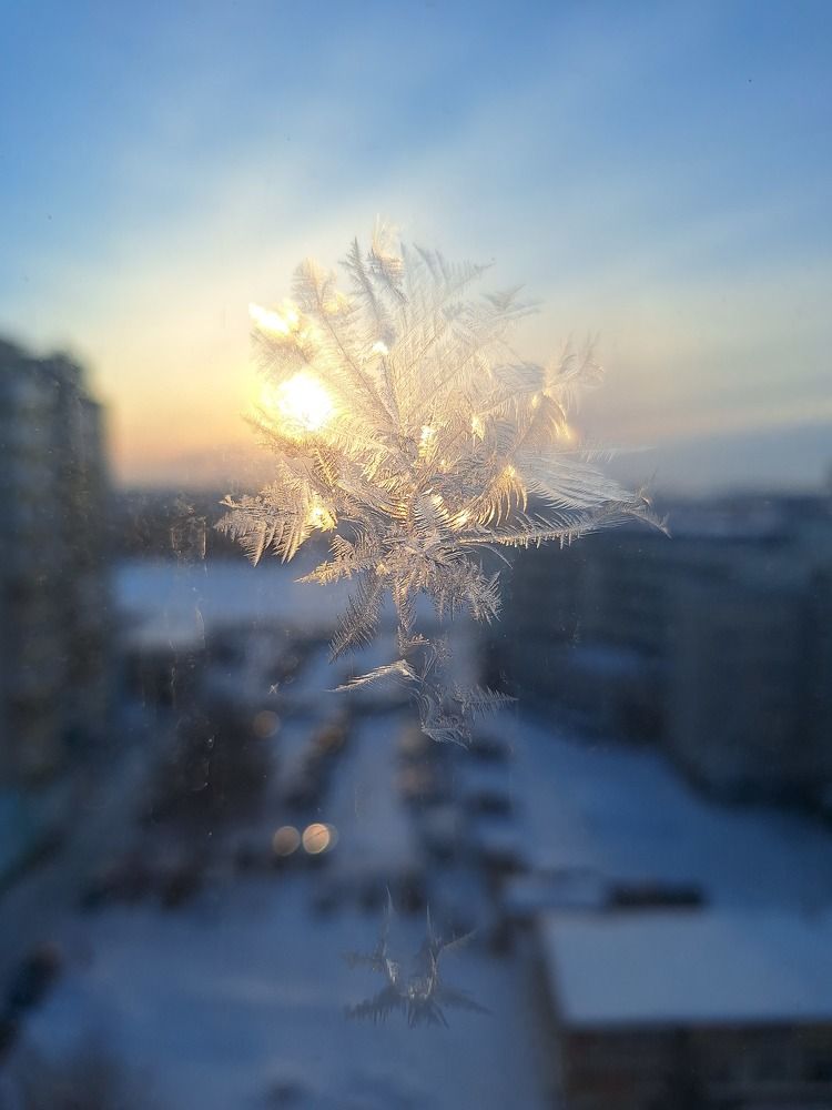 Photograph by Оксана Антипова