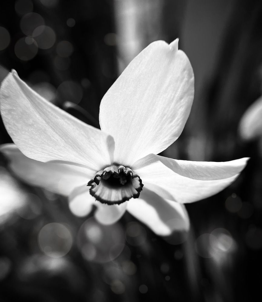 Фотография автора Рамзия Хисамутдинова