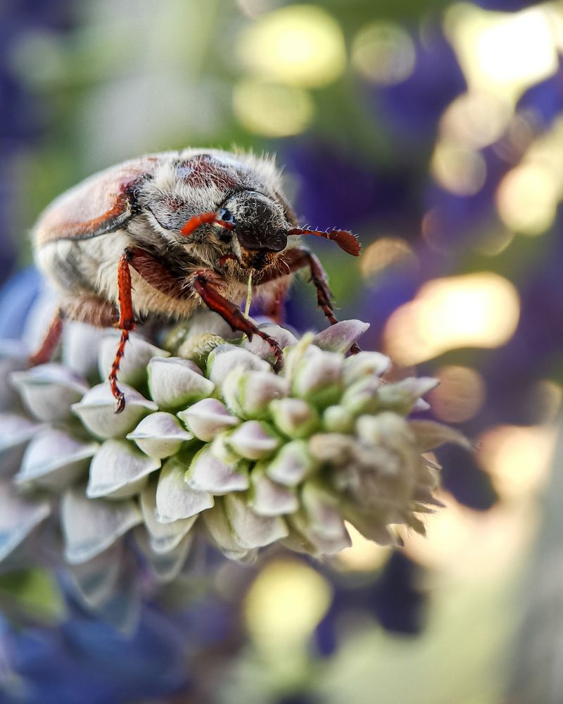 Photograph by Наталья Балабанова