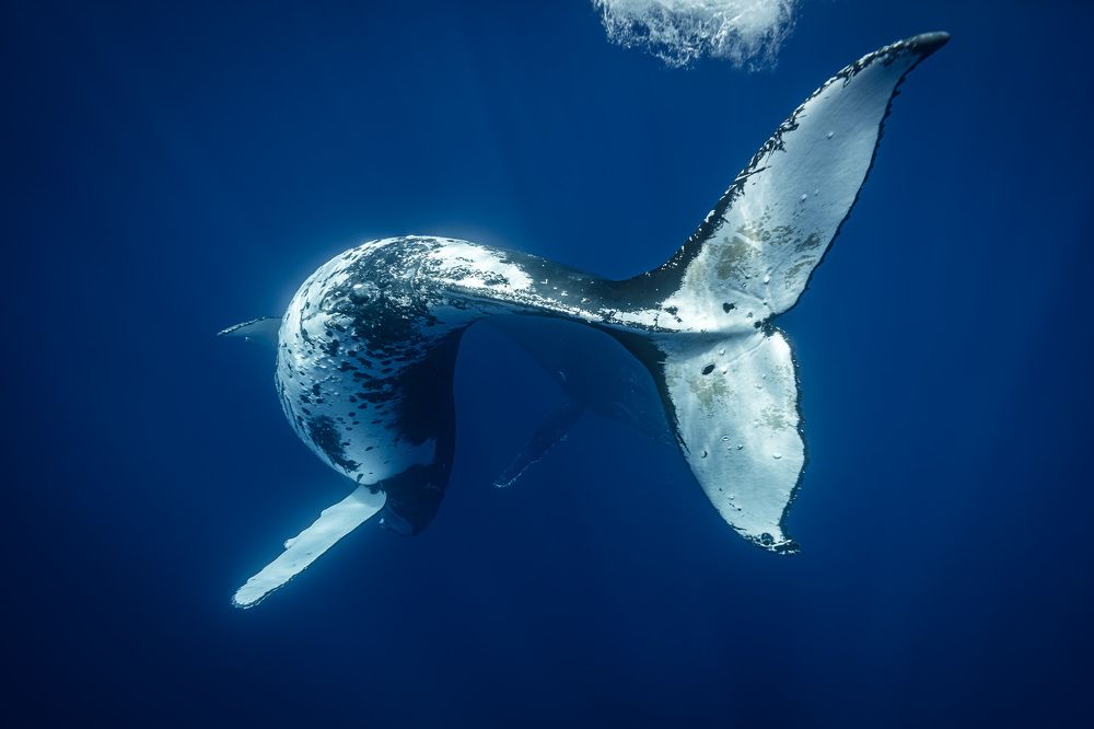 Photograph by Труханов Илья