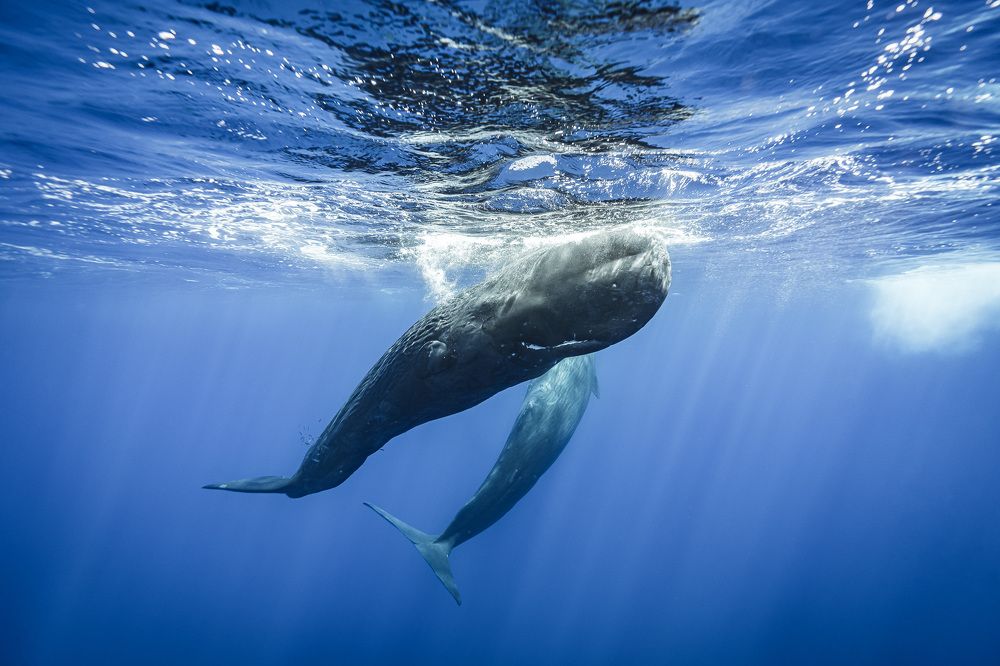 Photograph by Труханов Илья