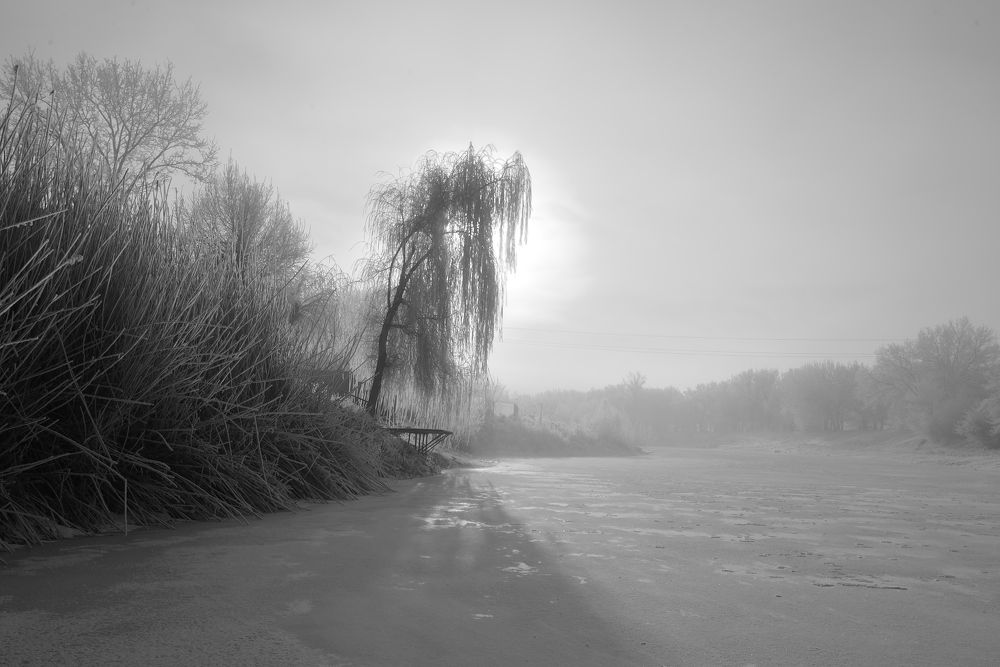 Фотография автора Игорь Баранов