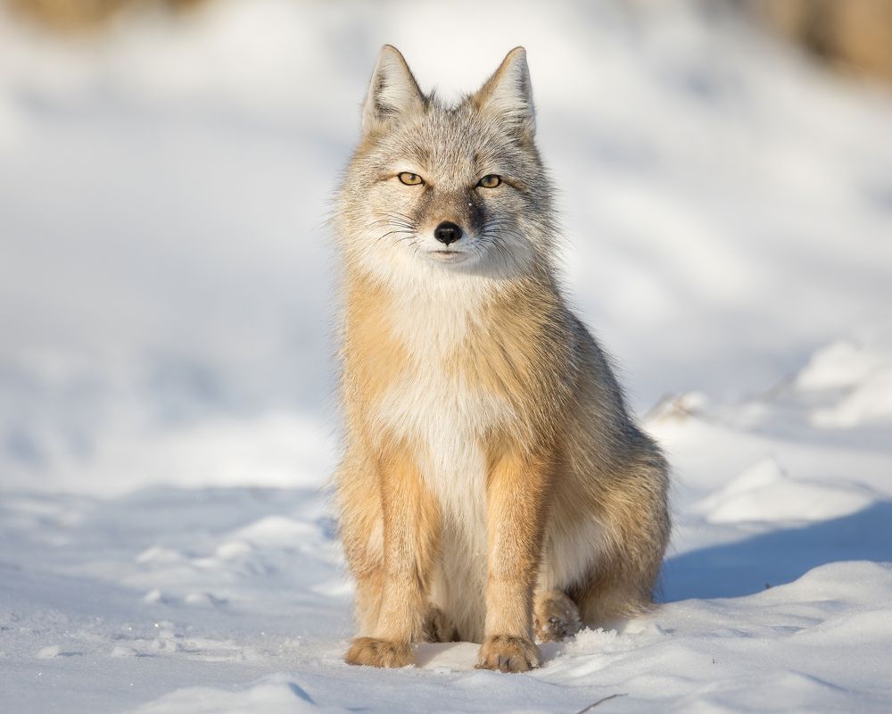 Photograph by Дина Нестеркова