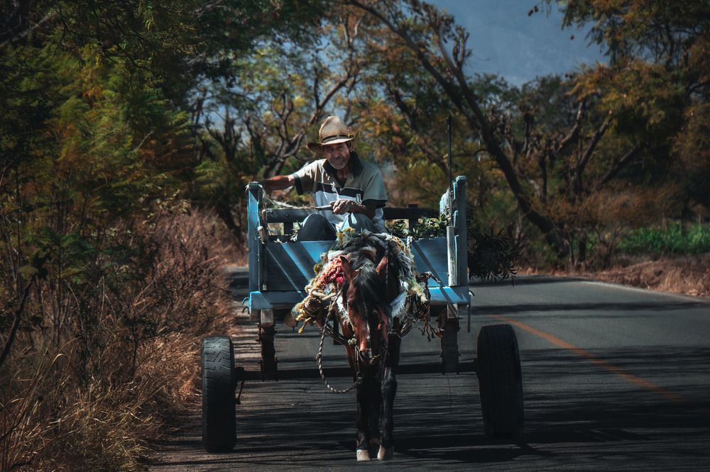 Photograph by José Arturo