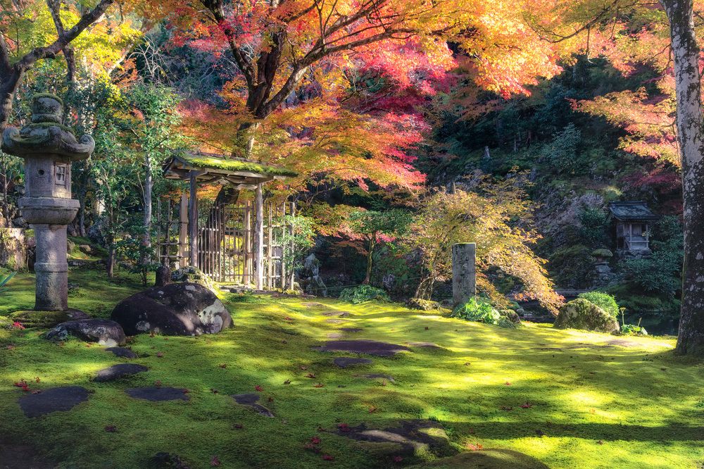 Autumn Japanese Garden