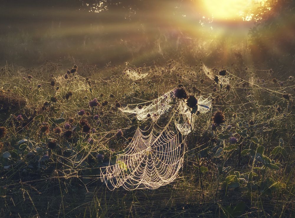 Photograph by Natalia Bolotenkova