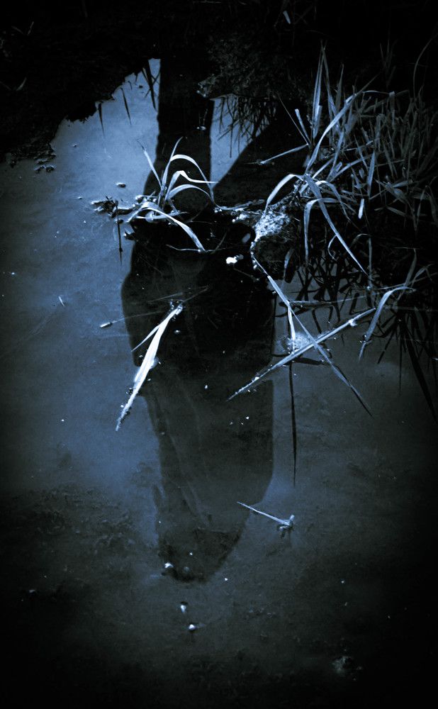 Photograph by Никита Савинов