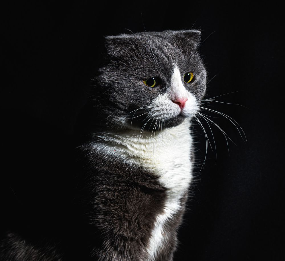 Фотография автора Виталий Гавронский