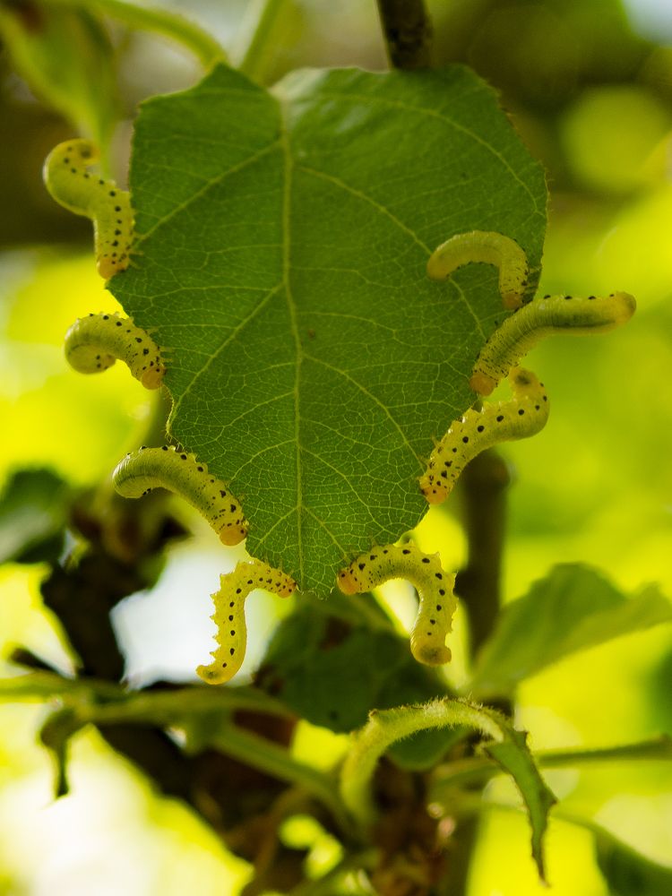 Photograph by Александр