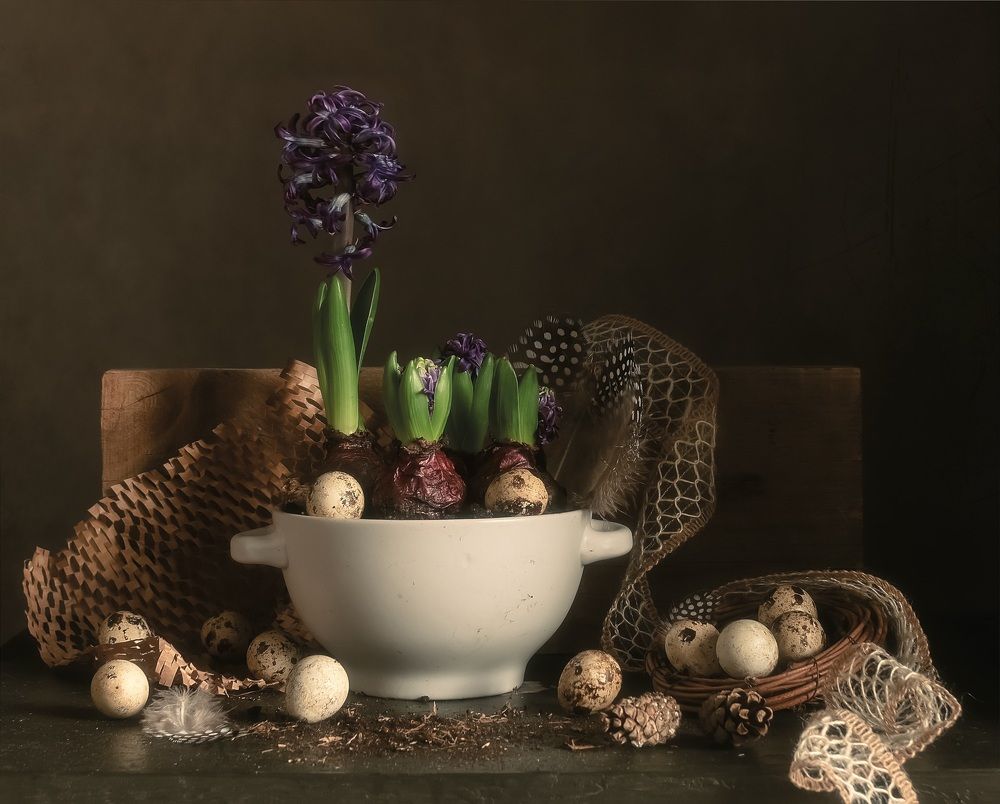 Фотография автора Виктория Шаманова