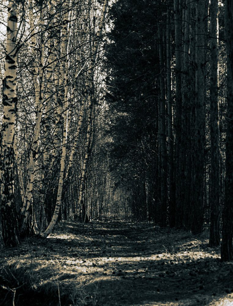 Photograph by Никита Савинов