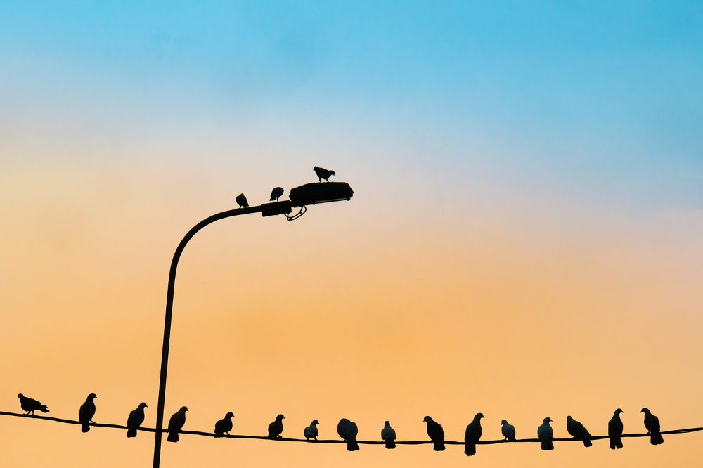 Photograph by khai nguyen tuan