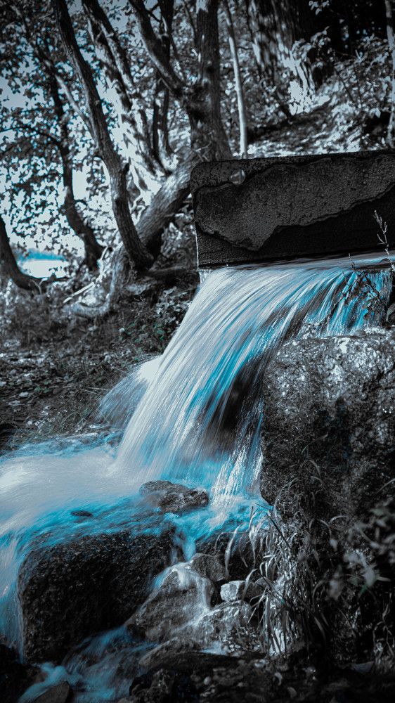 Photograph by Никита Савинов