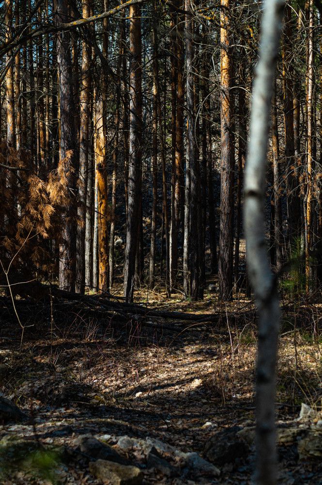 Photograph by Никита Савинов