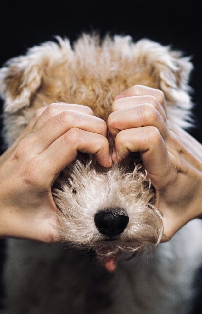 Photograph by Майя Чехова