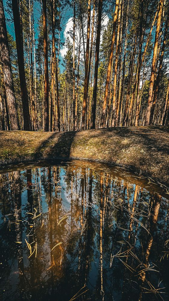 Photograph by Татьяна Галаева