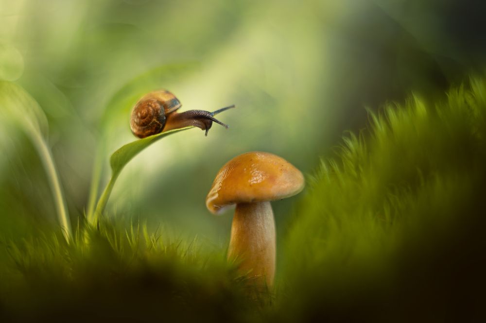 Photograph by Громова Анна