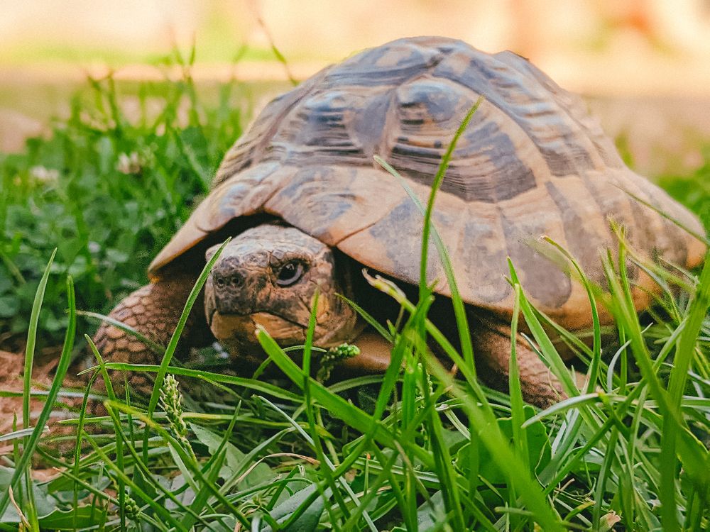 Фотография автора Voilmy Elliot