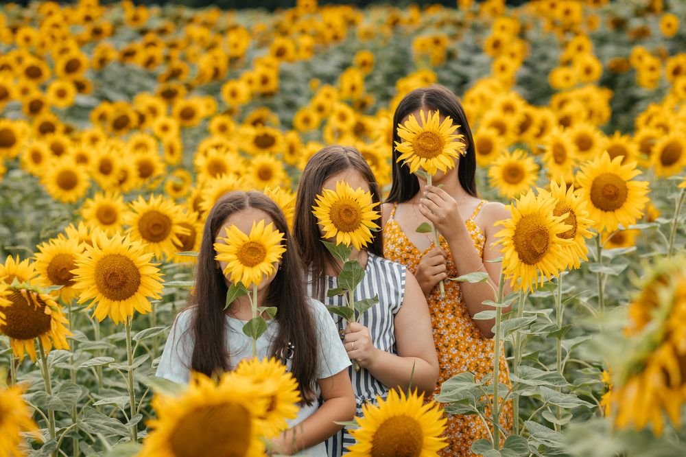 Photograph by Дарья Домникова