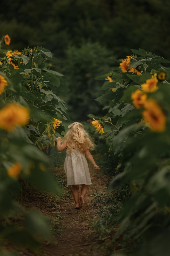 Фотография автора Елена Харькова