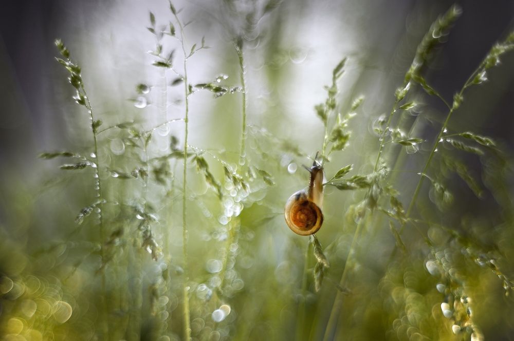 Photograph by Громова Анна