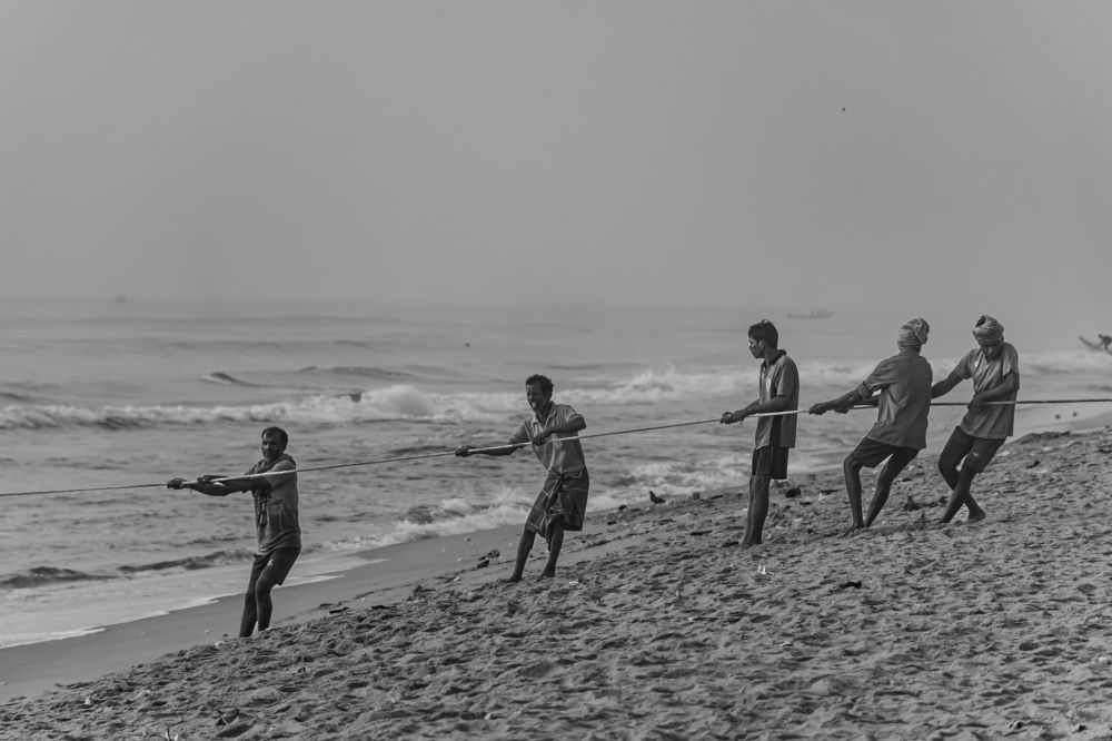 Photograph by Manasa Rangan