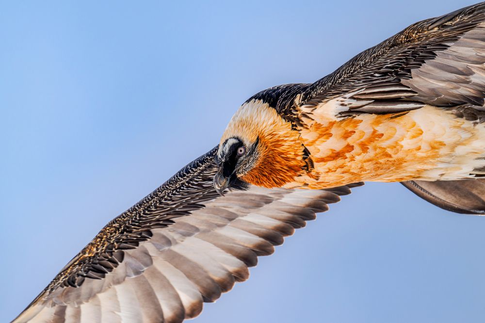 The miracle of the sky