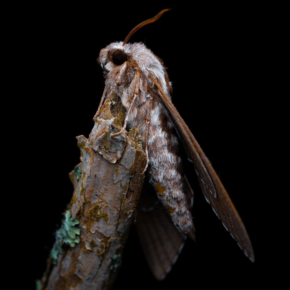 Photograph by Anton Orlenko