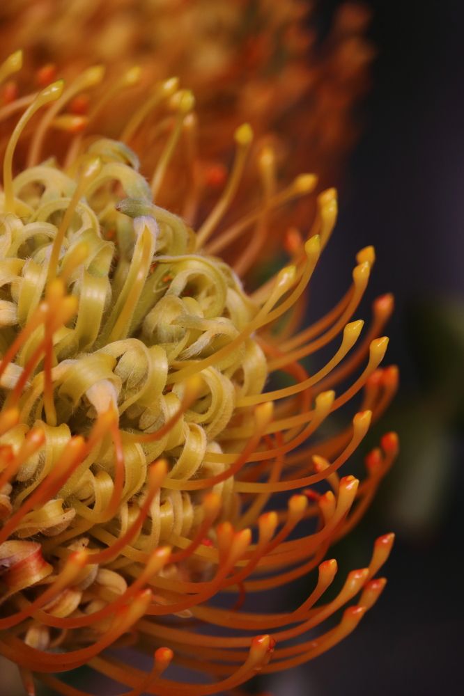 Фотография автора Воронина Татьяна