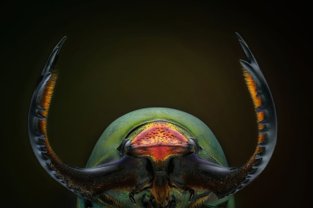 Photograph by Anton Orlenko