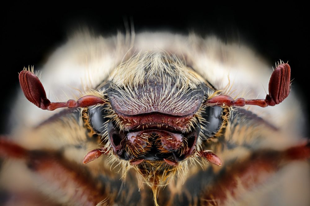 Photograph by Anton Orlenko