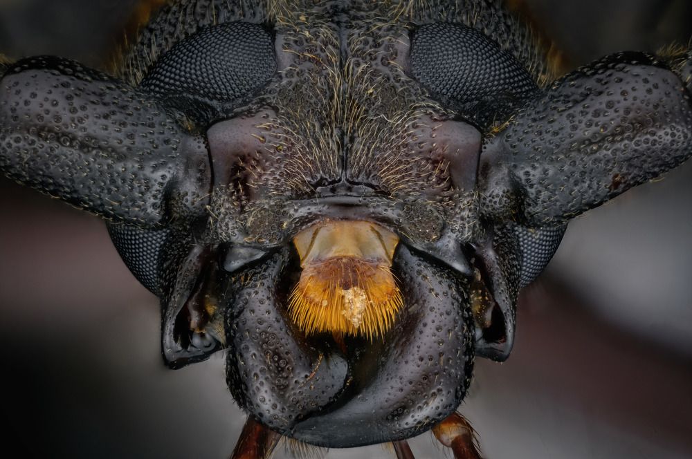 Photograph by Anton Orlenko