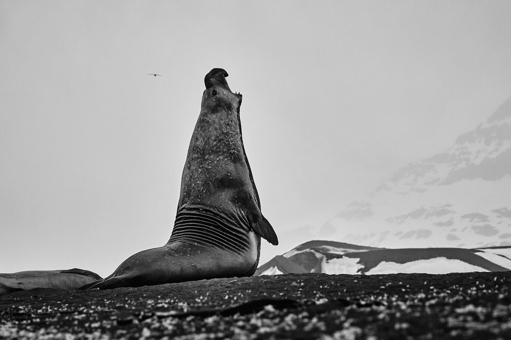 Photograph by Наумов Николай