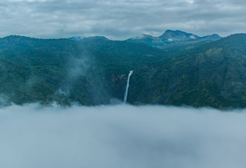 Photograph by Manasa Rangan