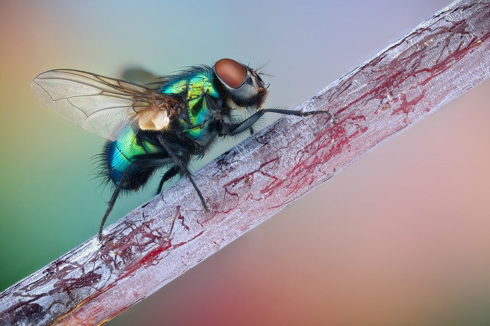 Photograph by Anton Orlenko