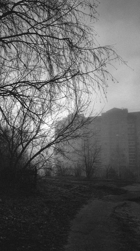 Photograph by Юлия Плаксина