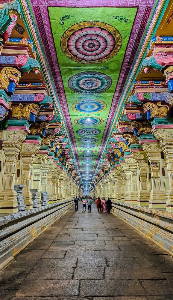 Photograph by Manasa Rangan