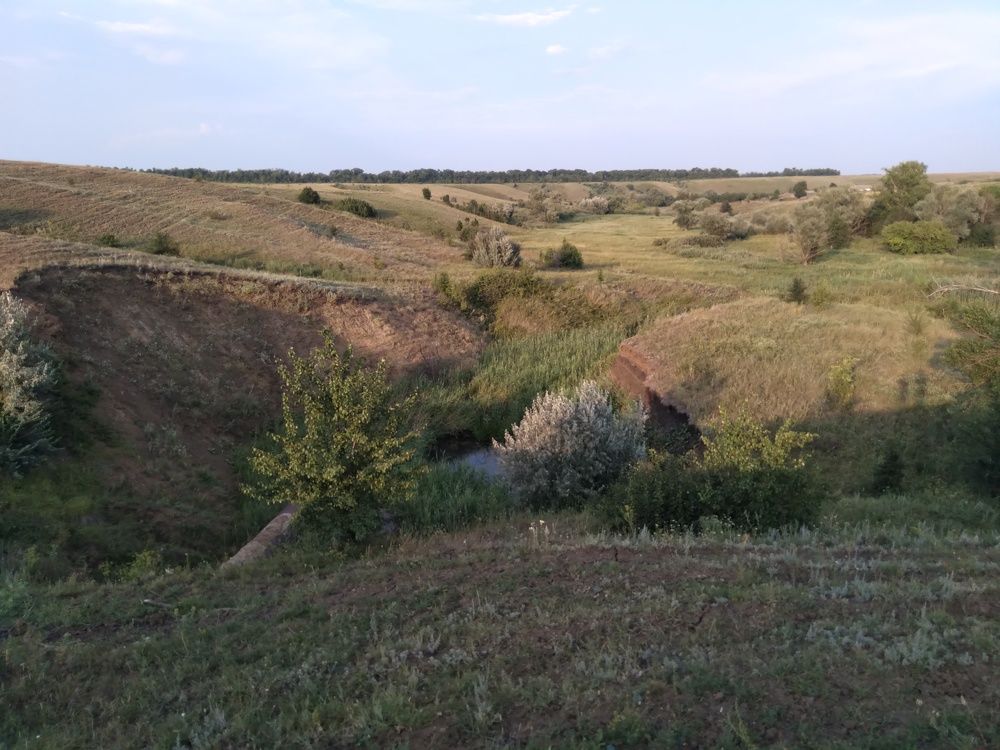 Photo #10414905