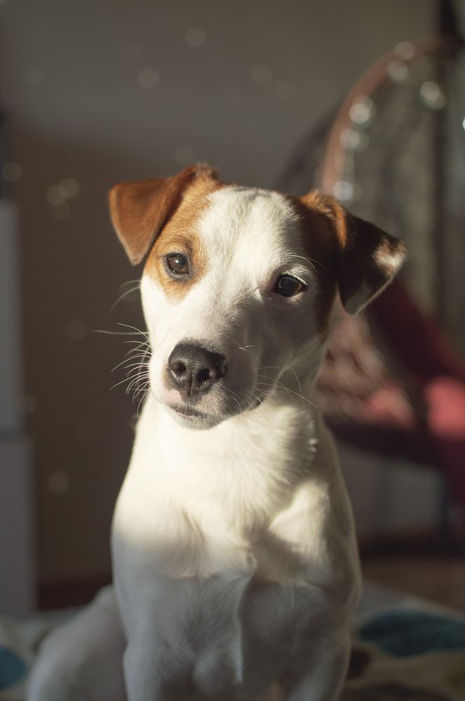 Photograph by Kristina Domanina