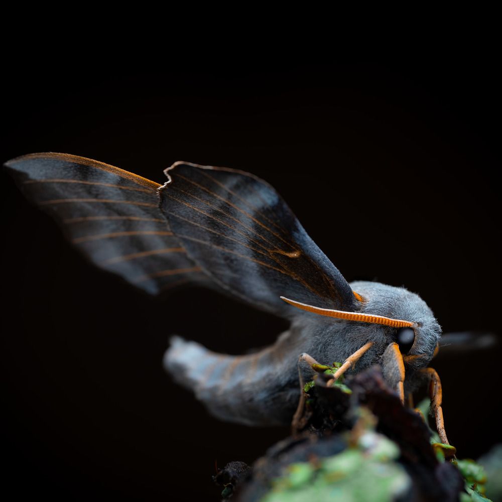 Photograph by Anton Orlenko